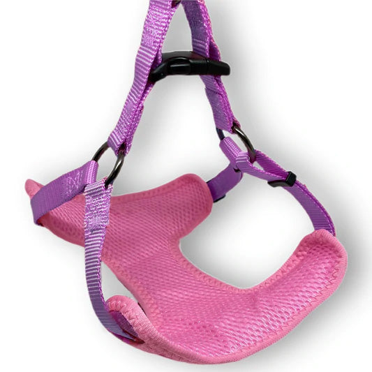 Royal Purple Harness