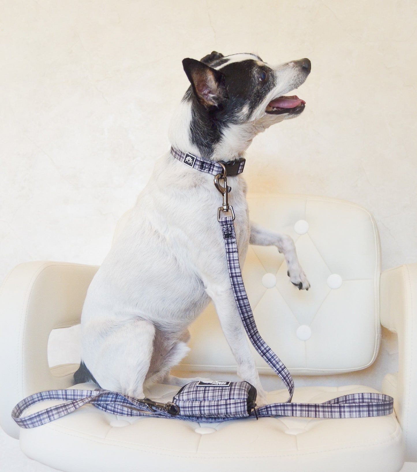 Plaid Pawty Collar