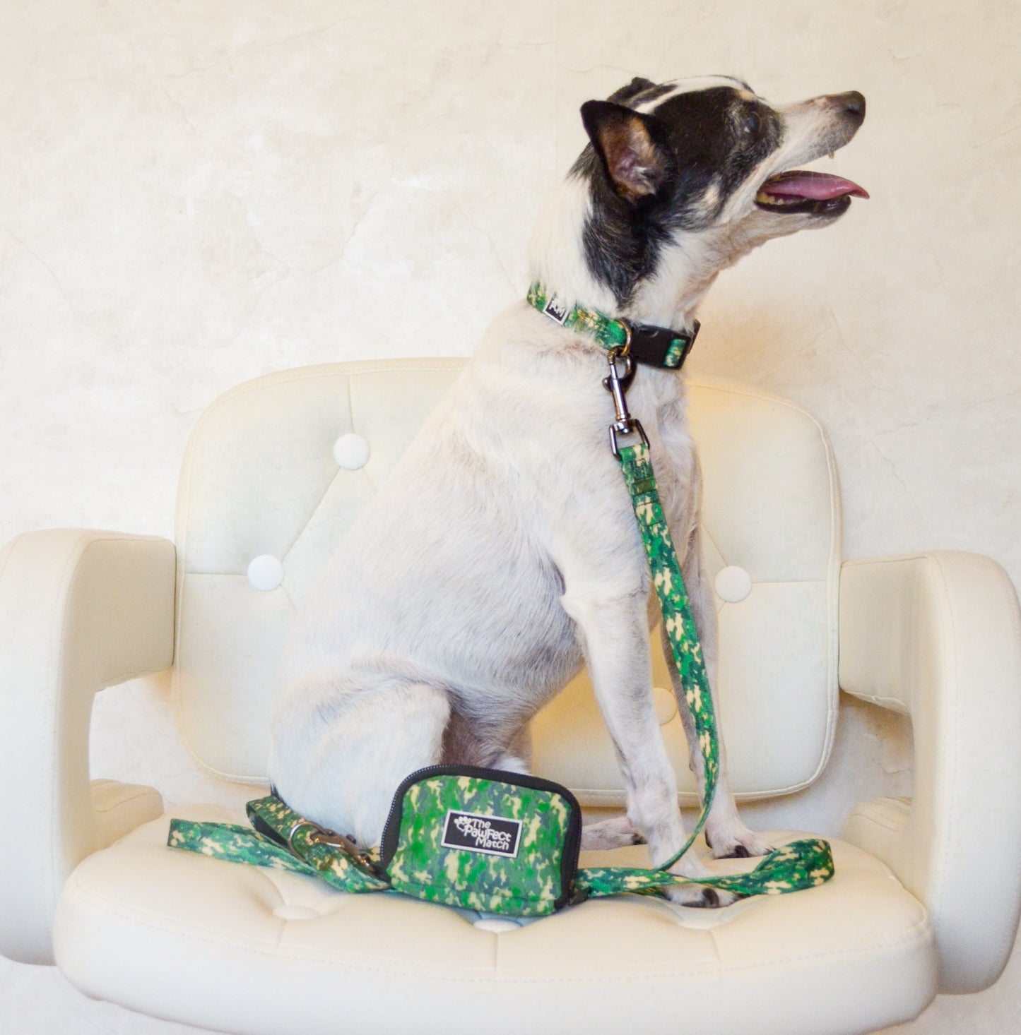 Indognito Collar