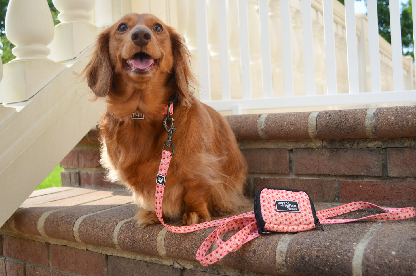 Collie-Flower Poop Bag Holder