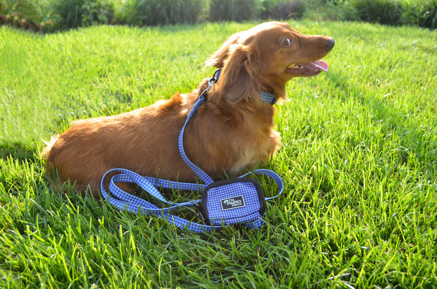 Don't Hound Me Poop Bag Holder