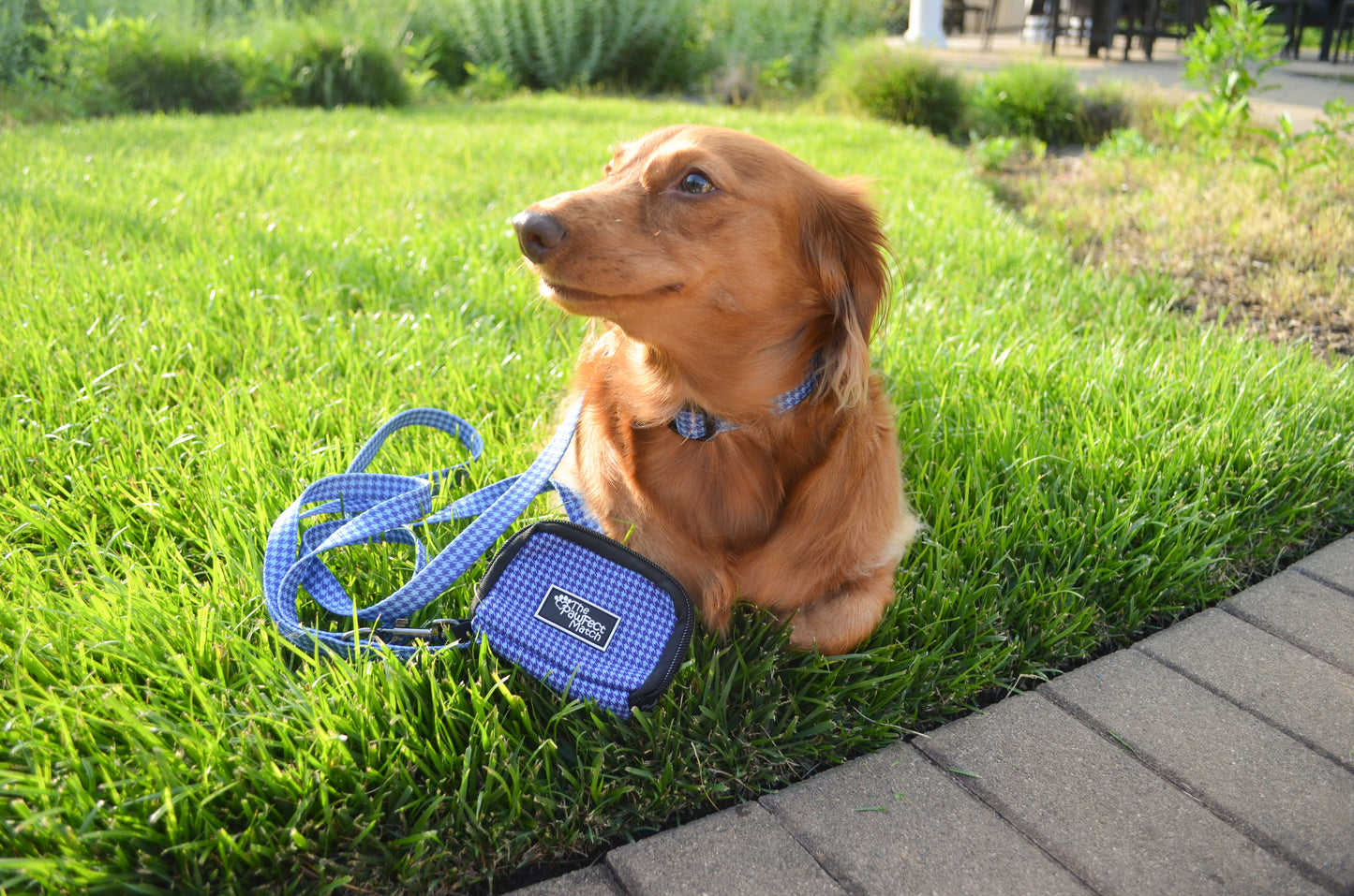 Don't Hound Me Poop Bag Holder