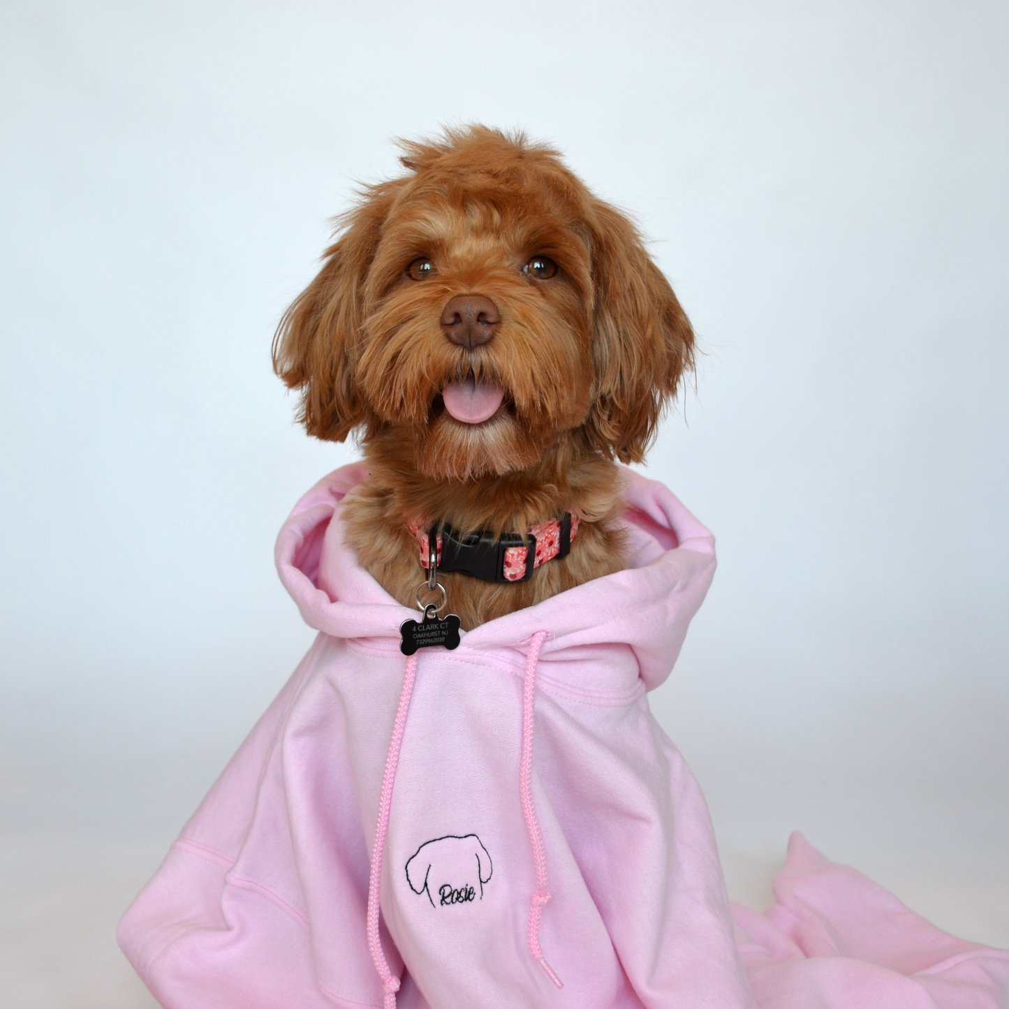 The Pawfect Hoodie