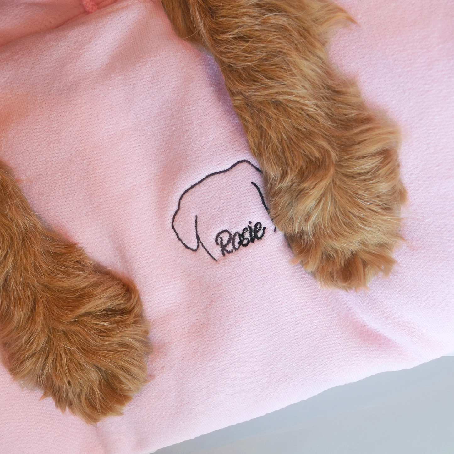 The Pawfect Hoodie