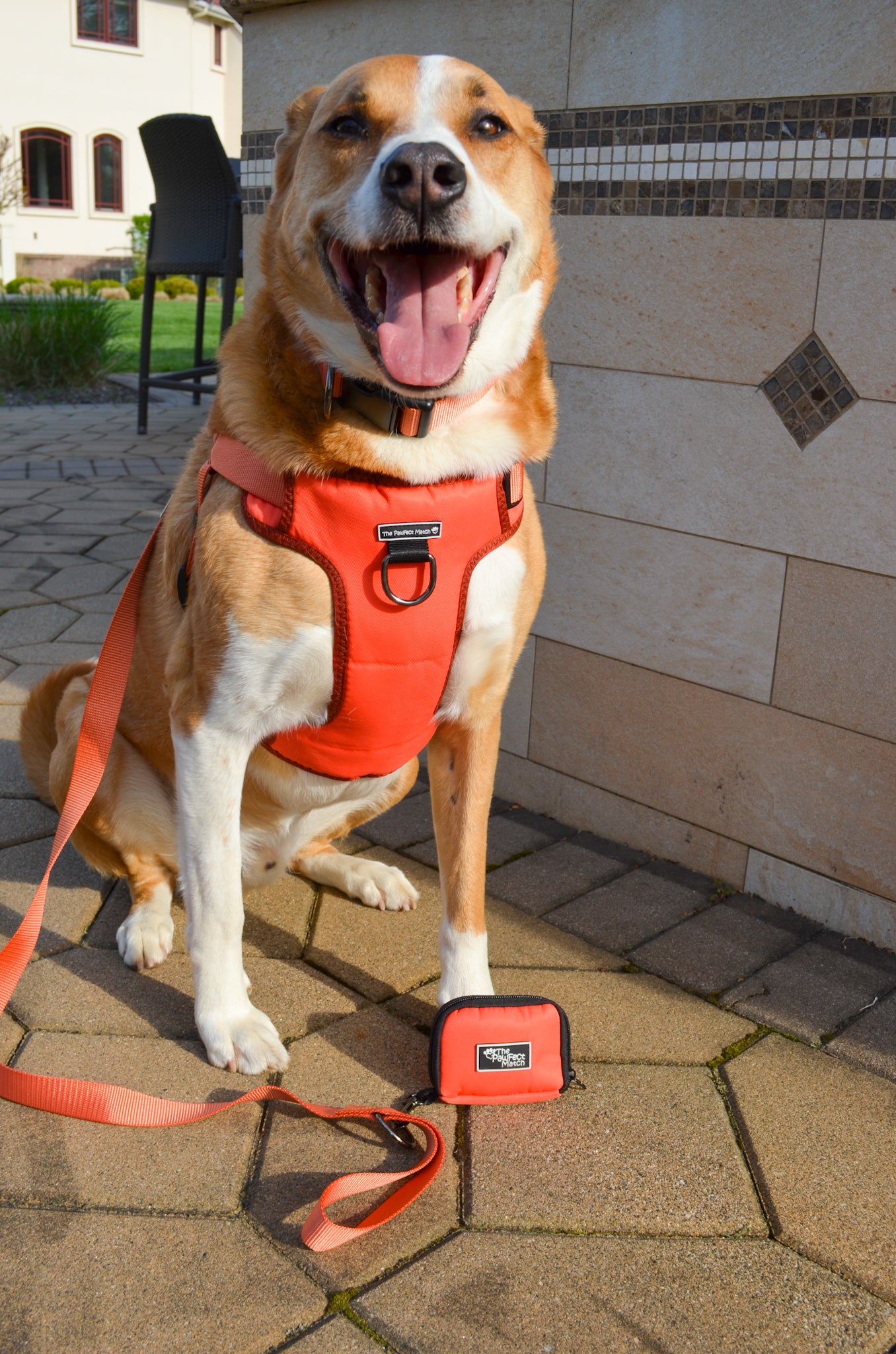 Autumn Orange Poop Bag Holder