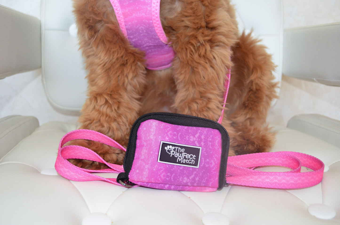 Playful Pawple Set