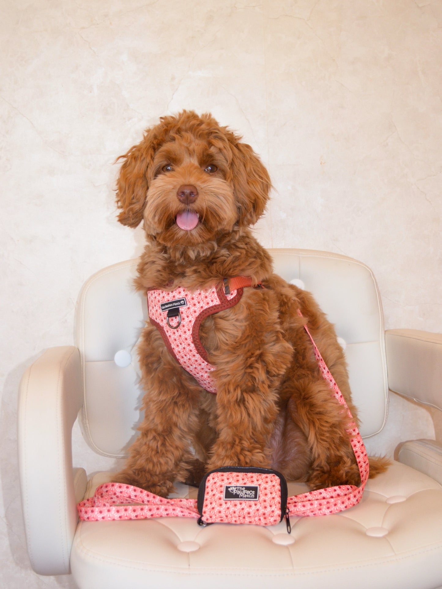 Collie-Flower Poop Bag Holder