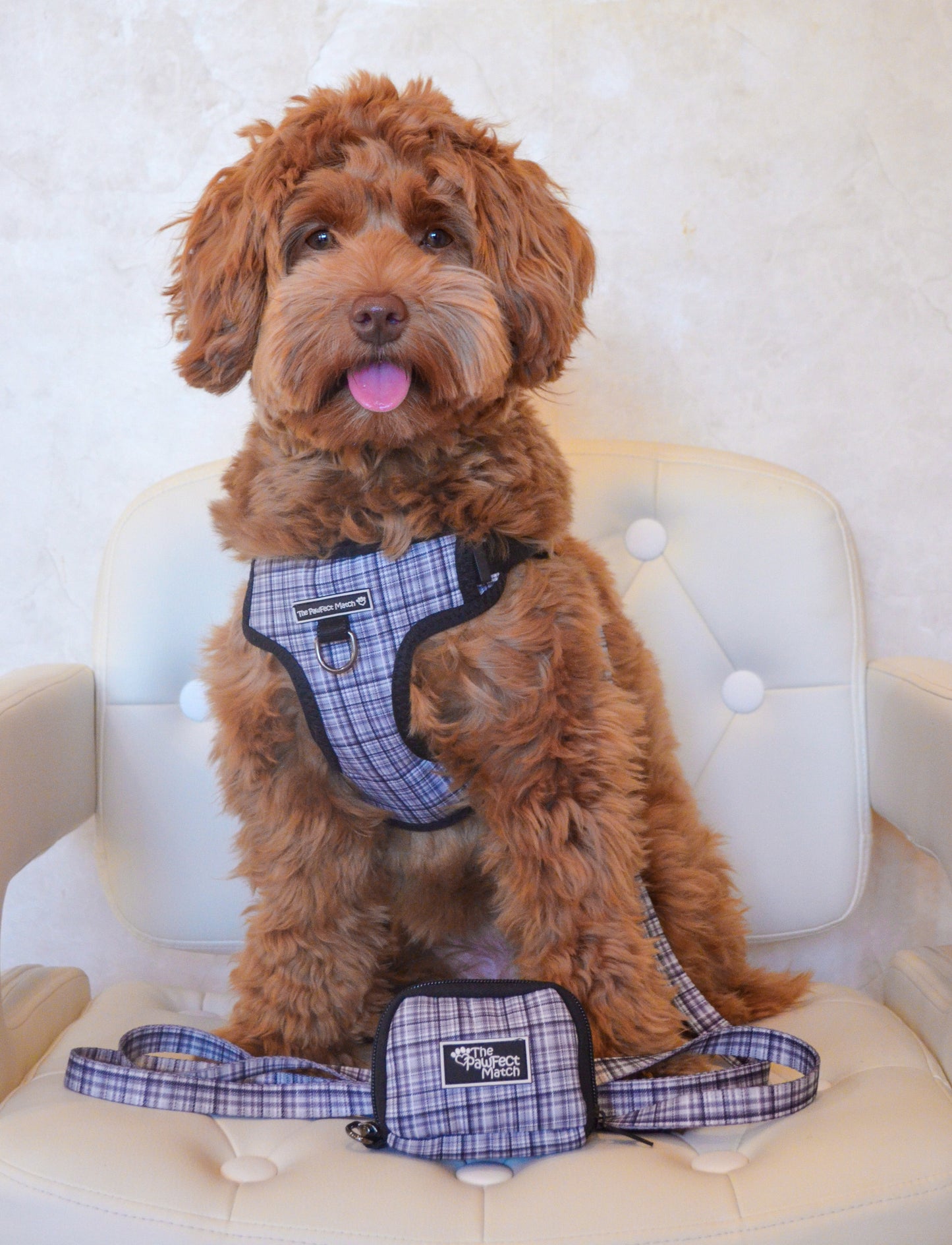 Plaid Pawty Harness