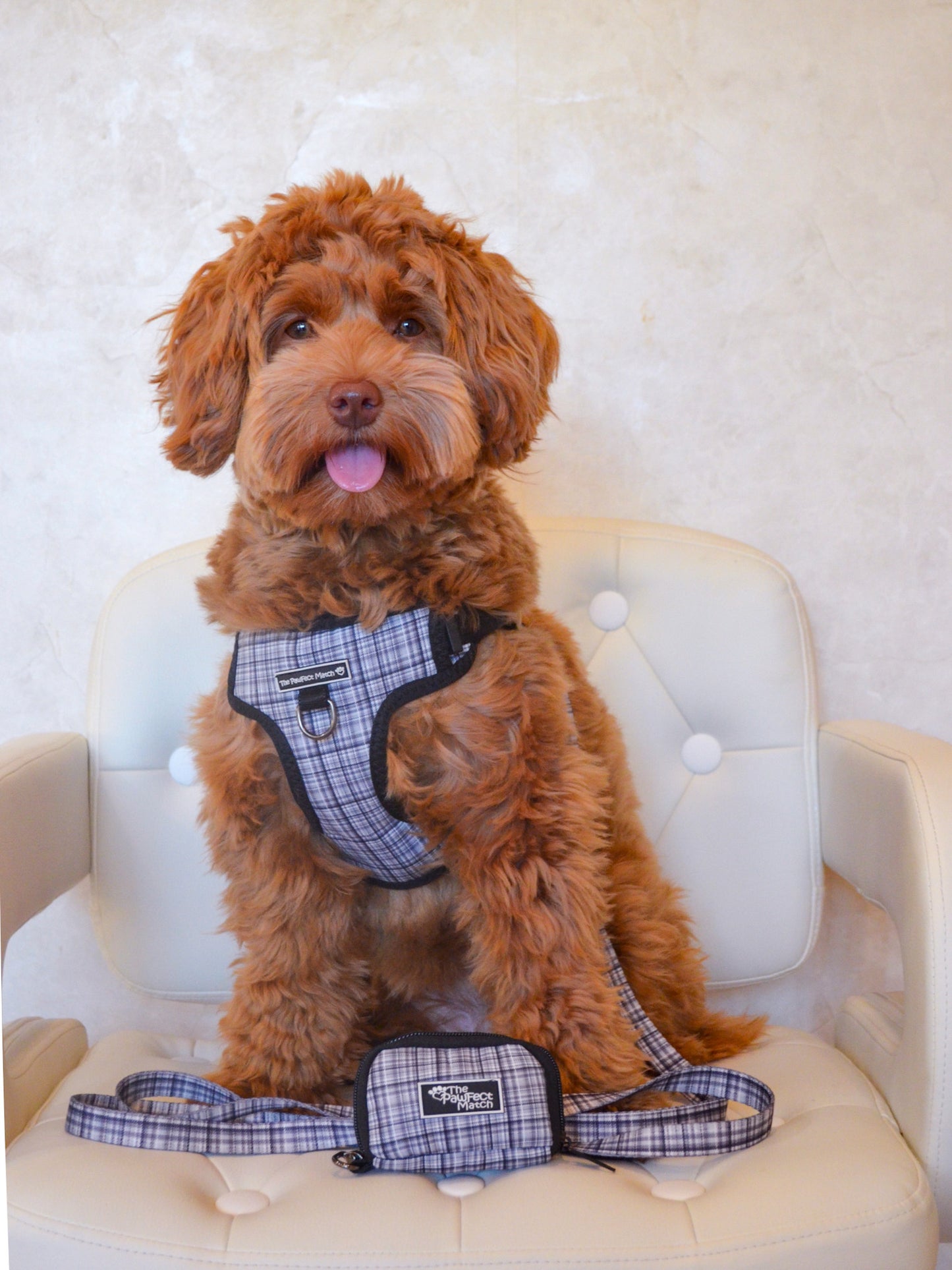 Plaid Pawty Set