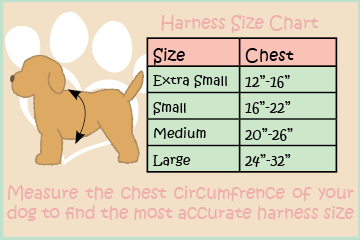 Essential Harness