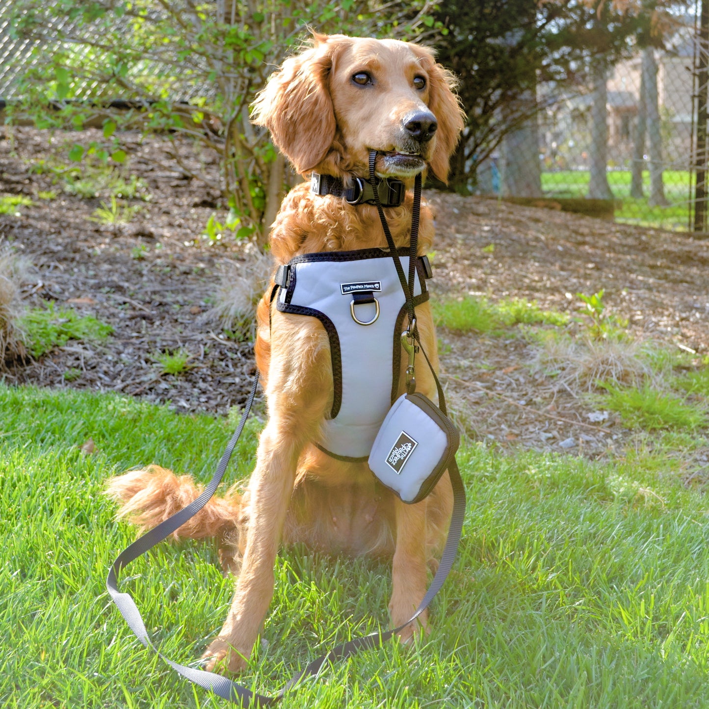 Essential Poop Bag Holder
