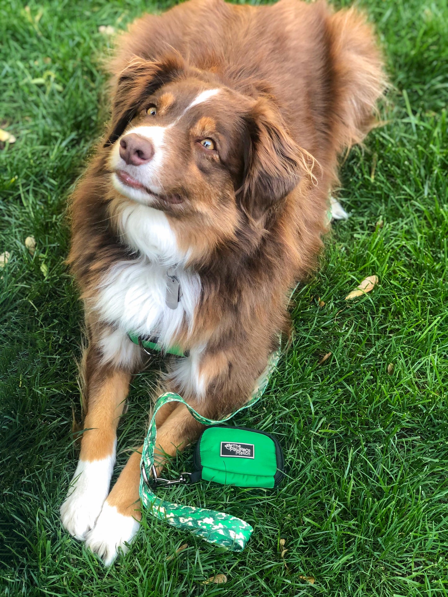 Eucalyptus Green Poop Bag Holder