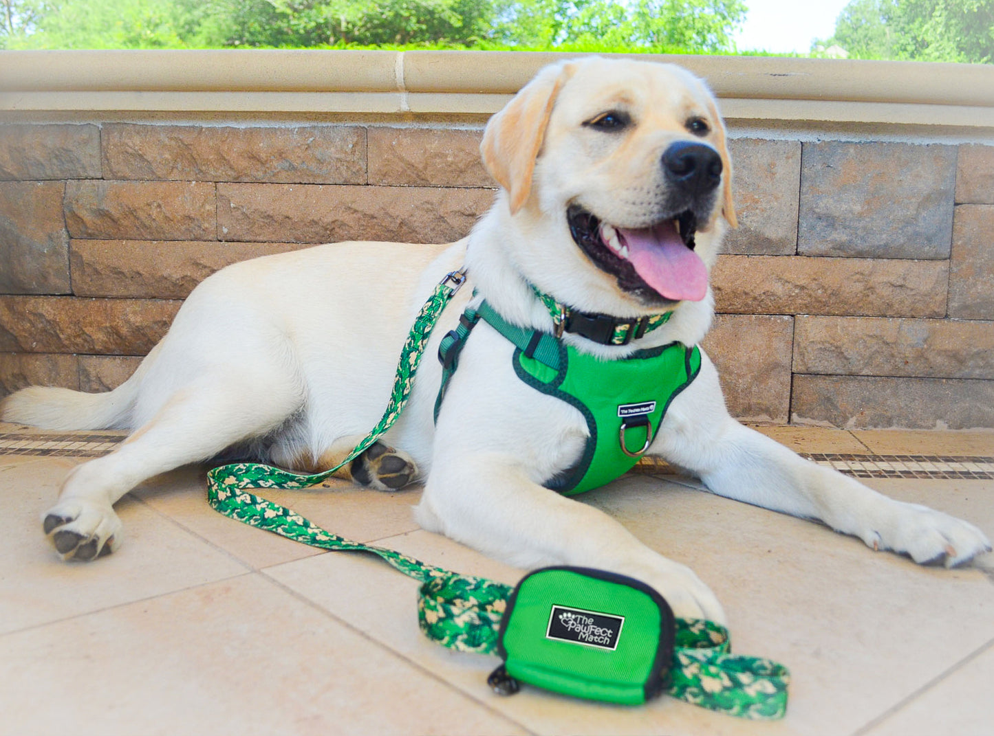 Eucalyptus Green Harness