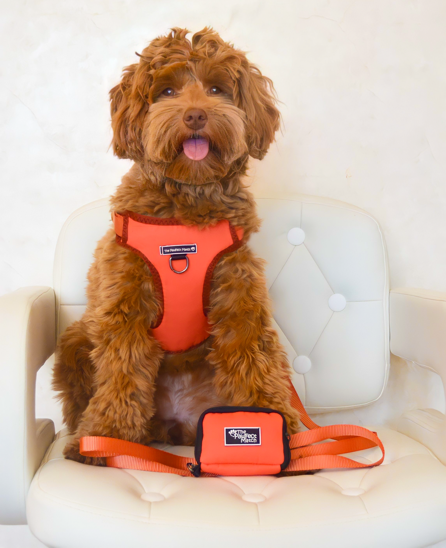 Autumn Orange Poop Bag Holder