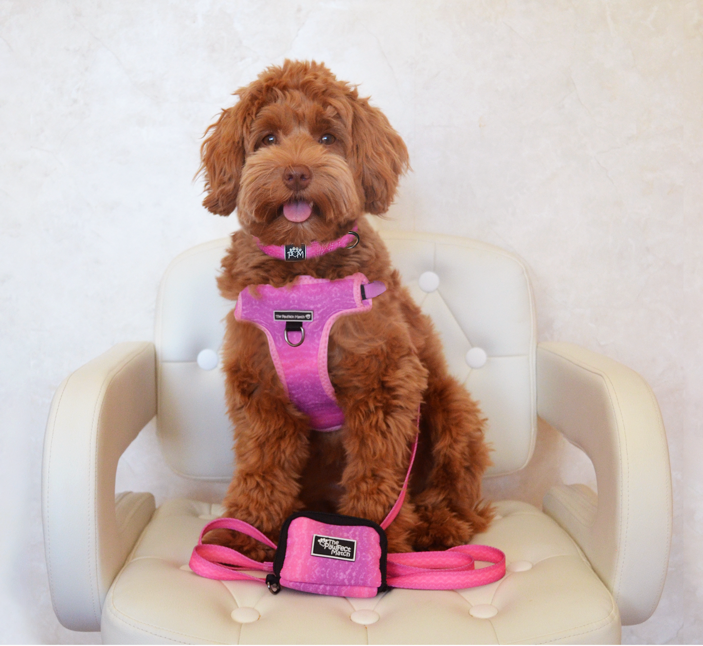 Playful Pawple Poop Bag Holder