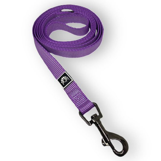 Royal Purple Leash