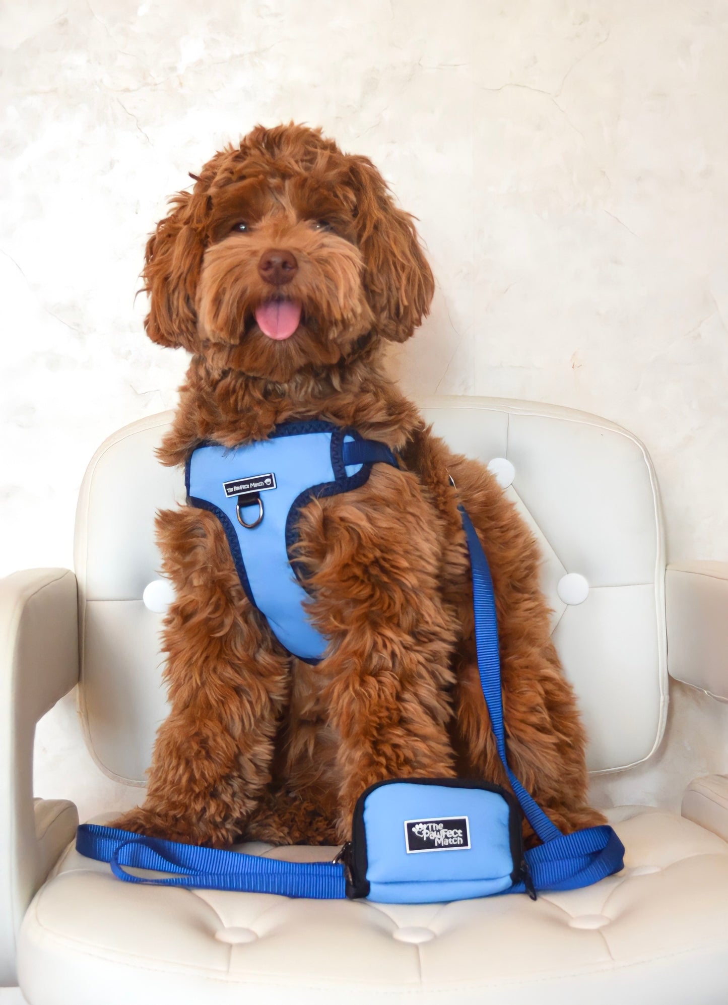 Winter Blue Harness
