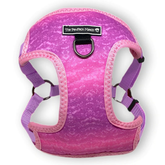 Playful Pawple Harness