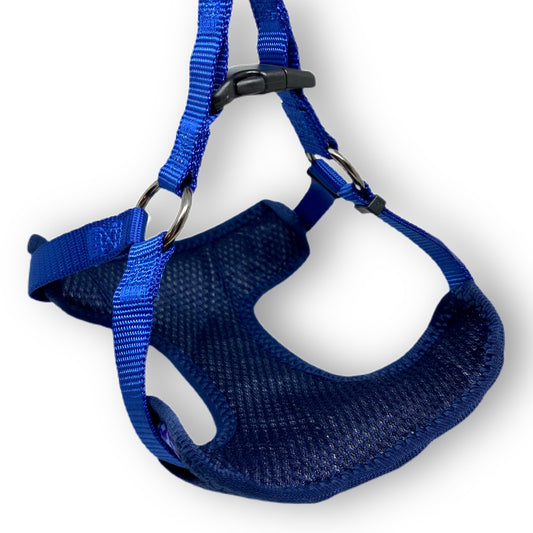 Winter Blue Harness