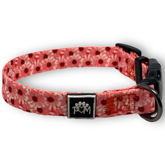 Collie-Flower Collar