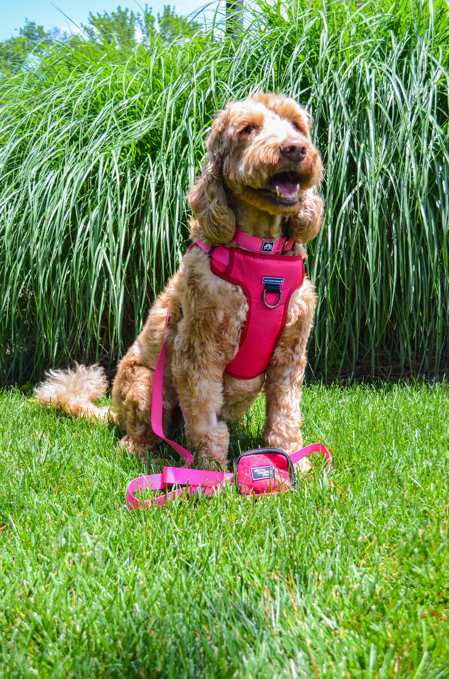 Rosie Pink Harness