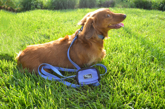 Don't Hound Me Leash