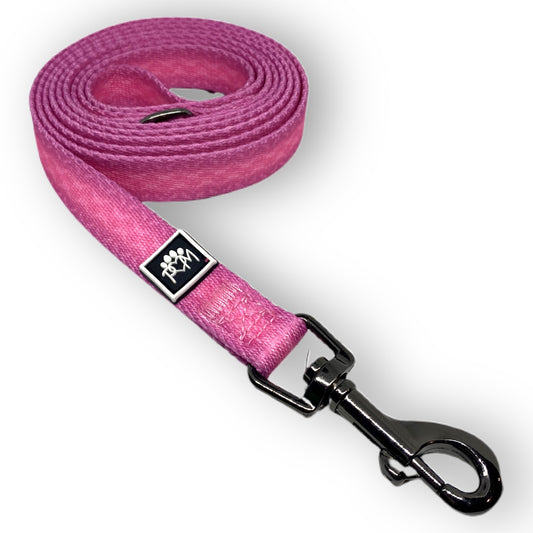 Playful Pawple Leash