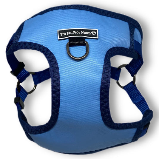 Winter Blue Harness