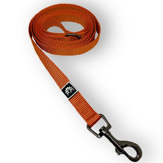 Autumn Orange Leash