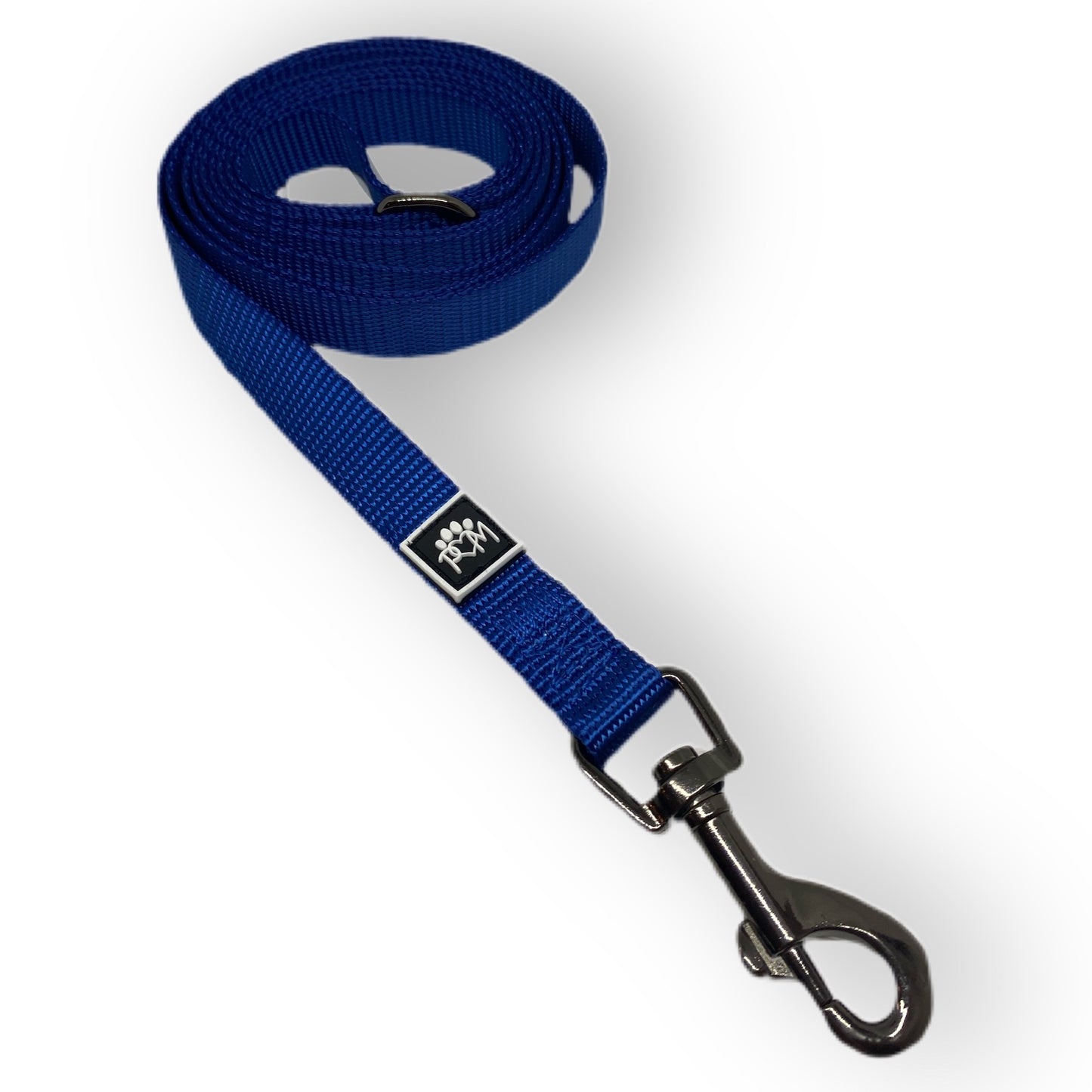 Winter Blue Leash