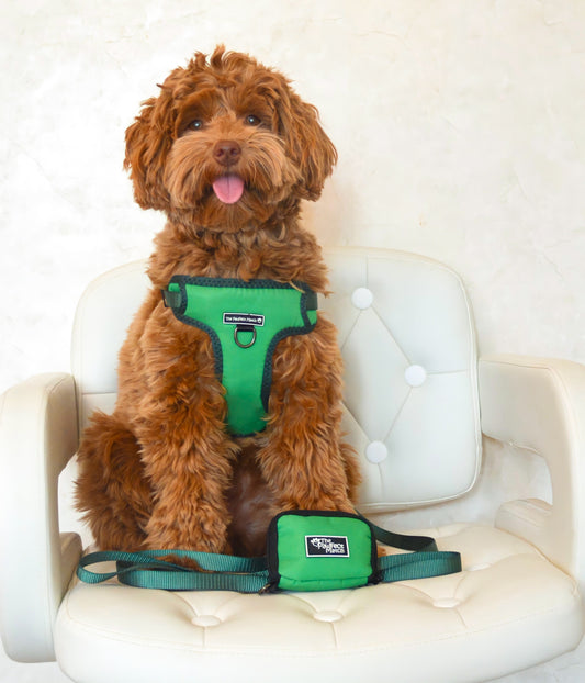 Eucalyptus Green Leash