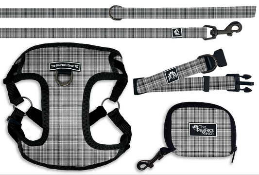 Plaid Pawty Set